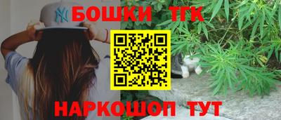 jwh Кингисепп