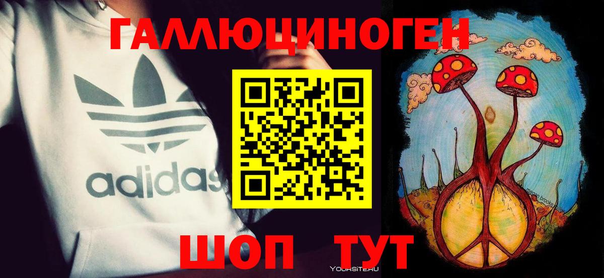 Балашов  Псилоцибиновые грибы Cubensis  Вход с VPN 